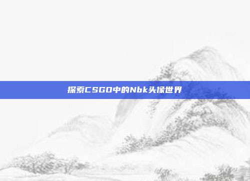 探索CSGO中的Nbk头像世界