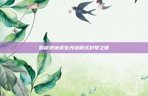 揭秘绝地求生光球模式封号之谜