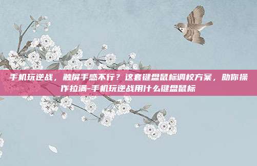 手机玩逆战,触屏手感不行?这套键盘鼠标调校方案,助你操作拉满-手机玩逆战用什么键盘鼠标