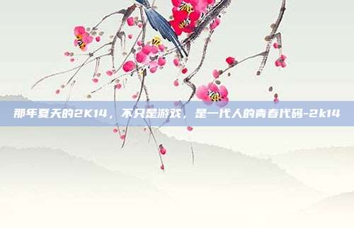 那年夏天的2K14,不只是游戏,是一代人的青春代码-2k14