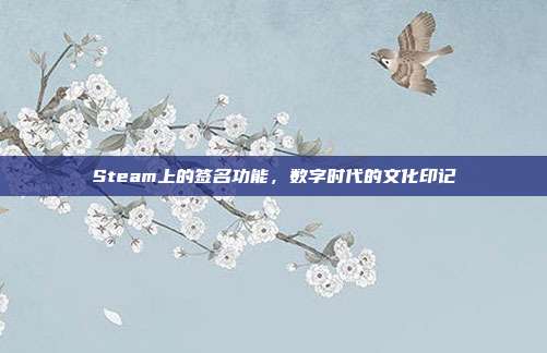 Steam上的签名功能,数字时代的文化印记