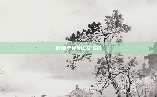 鼠标垫评测CS:GO