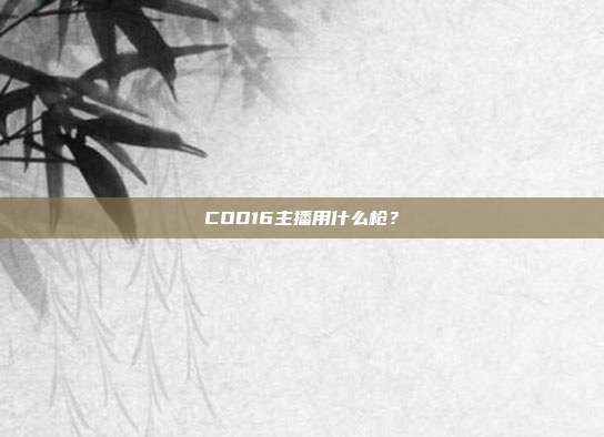 COD16主播用什么枪?