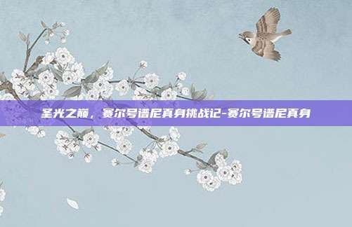 圣光之巅，赛尔号谱尼真身挑战记-赛尔号谱尼真身