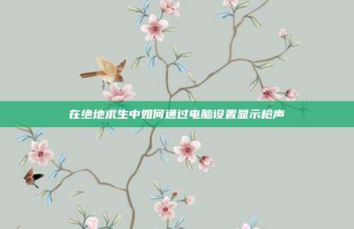 在绝地求生中如何通过电脑设置显示枪声