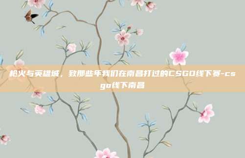 枪火与英雄城,致那些年我们在南昌打过的CSGO线下赛-csgo线下南昌