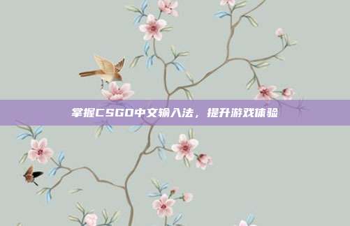 掌握CSGO中文输入法,提升游戏体验