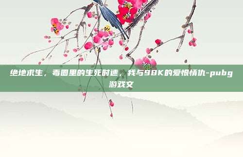 绝地求生,毒圈里的生死时速,我与98K的爱恨情仇-pubg游戏文