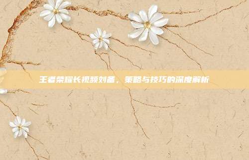 王者荣耀长视频刘备,策略与技巧的深度解析