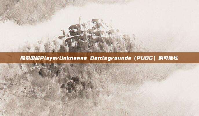 探索国服PlayerUnknowns Battlegrounds（PUBG）的可能性