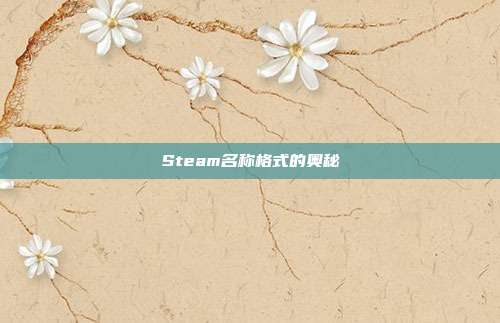 Steam名称格式的奥秘
