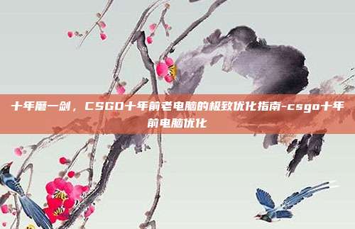 十年磨一剑,CSGO十年前老电脑的极致优化指南-csgo十年前电脑优化