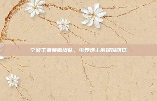 宁波王者荣耀战队,电竞场上的璀璨明珠