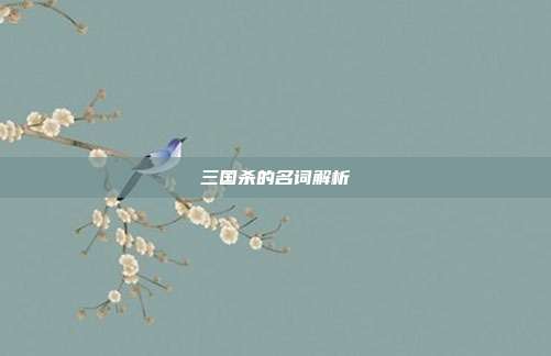 三国杀的名词解析