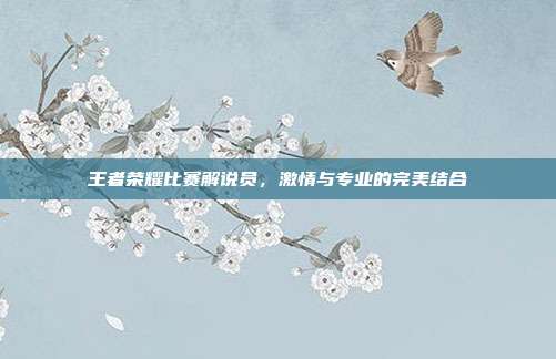 王者荣耀比赛解说员,激情与专业的完美结合