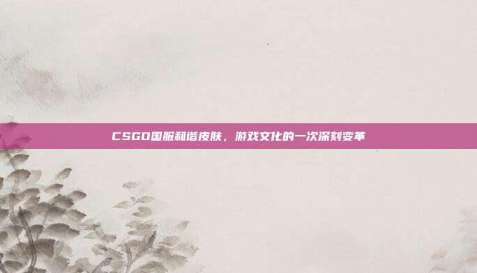 CSGO国服和谐皮肤,游戏文化的一次深刻变革