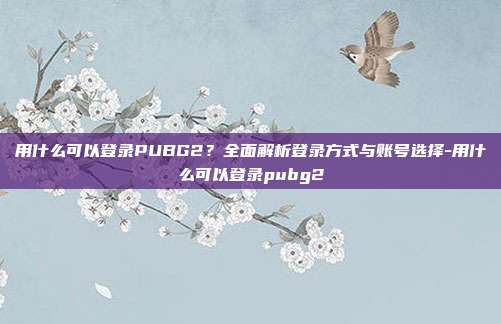 用什么可以登录PUBG2？全面解析登录方式与账号选择-用什么可以登录pubg2