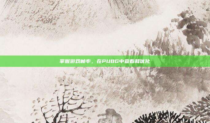 掌握游戏帧率，在PUBG中查看和优化