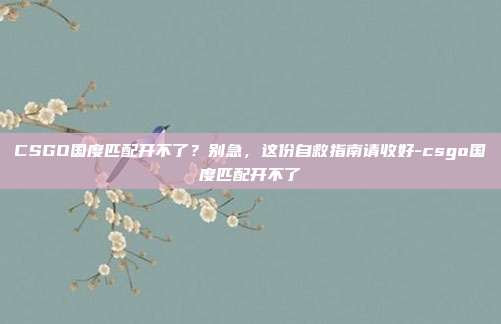 CSGO国度匹配开不了?别急,这份自救指南请收好-csgo国度匹配开不了