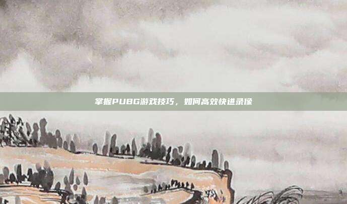 掌握PUBG游戏技巧,如何高效快进录像
