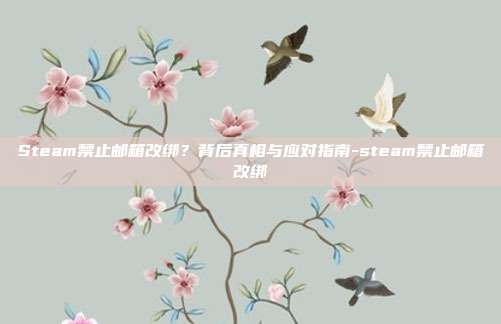 Steam禁止邮箱改绑?背后真相与应对指南-steam禁止邮箱改绑