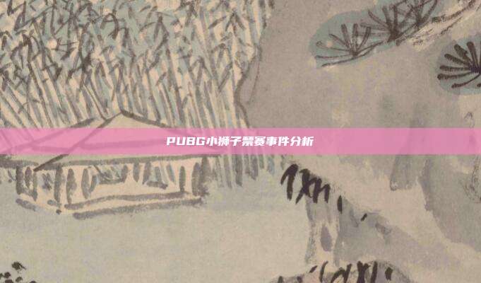 PUBG小狮子禁赛事件分析