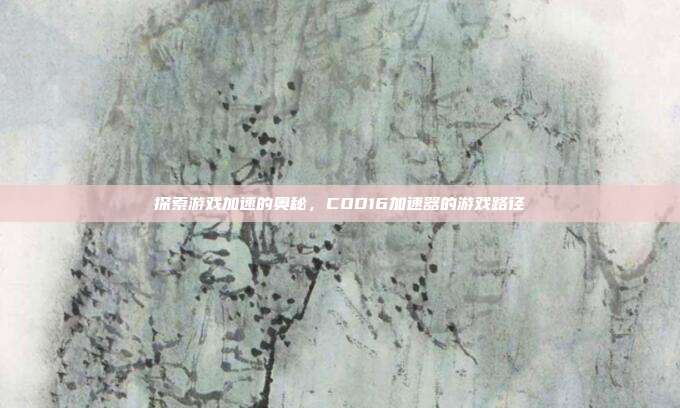 探索游戏加速的奥秘，COD16加速器的游戏路径