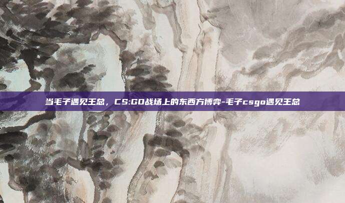 当毛子遇见王总,CS:GO战场上的东西方博弈-毛子csgo遇见王总