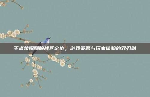 王者荣耀删除战区定位,游戏策略与玩家体验的双刃剑