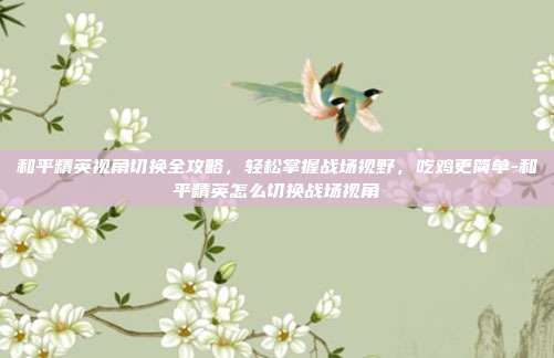 和平精英视角切换全攻略,轻松掌握战场视野,吃鸡更简单-和平精英怎么切换战场视角