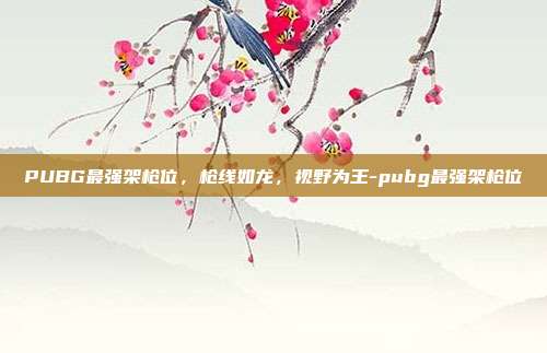 PUBG最强架枪位，枪线如龙，视野为王-pubg最强架枪位