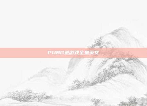 PUBG进游戏全是英文
