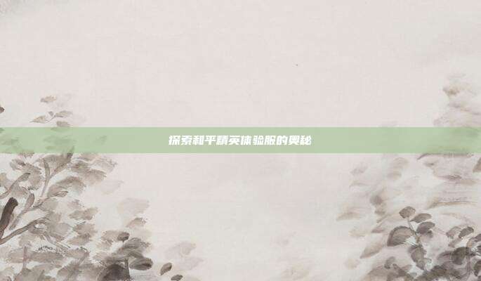 探索和平精英体验服的奥秘