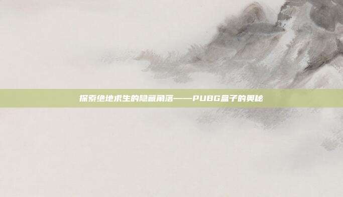 探索绝地求生的隐藏角落——PUBG盒子的奥秘