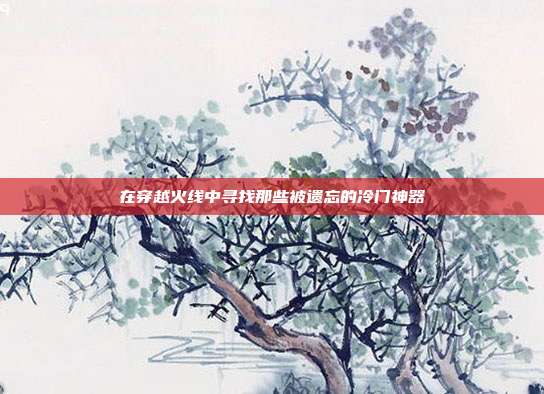 在穿越火线中寻找那些被遗忘的冷门神器