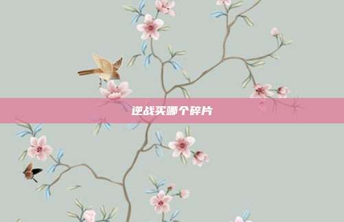 逆战买哪个碎片
