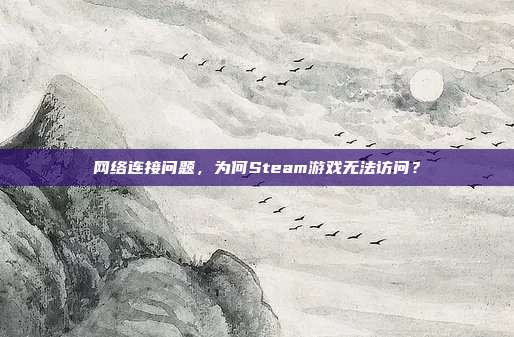 网络连接问题,为何Steam游戏无法访问?