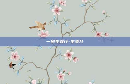 一碗生姜汁-生姜汁
