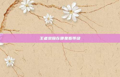 王者荣耀在哪里看等级