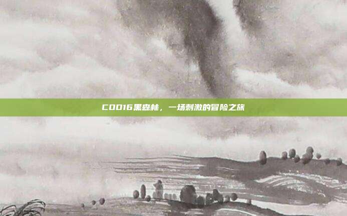 COD16黑森林,一场刺激的冒险之旅
