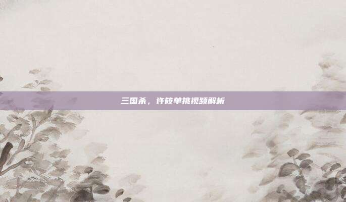 三国杀,许筱单挑视频解析