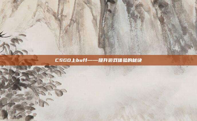 CSGO上buff——提升游戏体验的秘诀