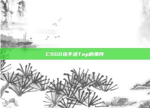CSGO选手进Top的条件