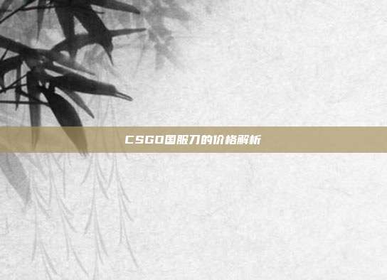 CSGO国服刀的价格解析