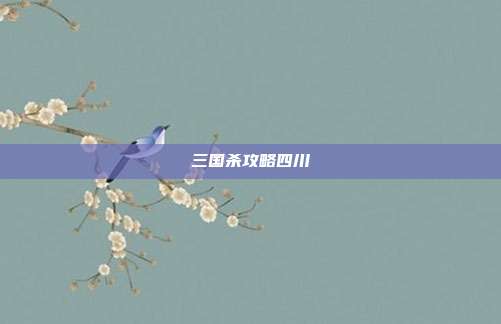 三国杀攻略四川