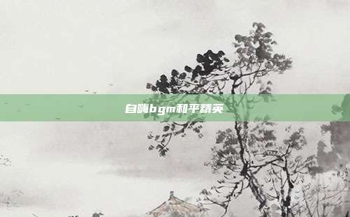 自嗨bgm和平精英