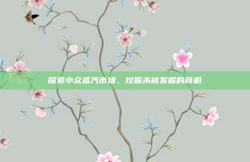 探索小众蒸汽市场，挖掘未被发掘的商机