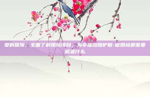 爱的保障,全面了解婚检项目,为幸福婚姻护航-做婚检都需要检查什么