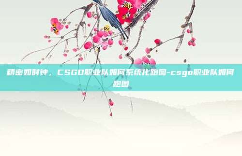 精密如时钟，CSGO职业队如何系统化跑图-csgo职业队如何跑图