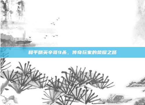 和平精英辛哥9杀,传奇玩家的荣耀之路